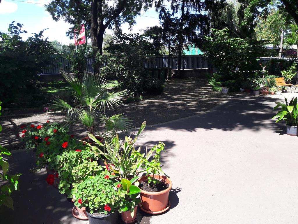 Orchidea Apartman Егер Екстериор снимка
